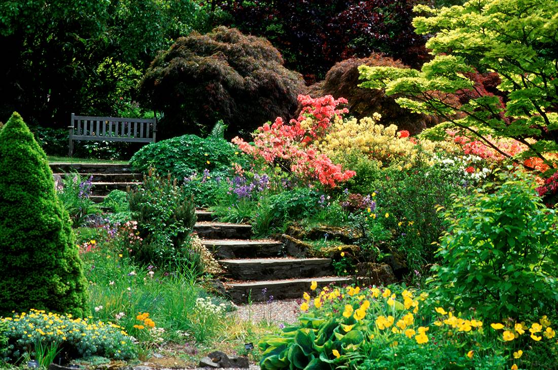Steps and bench in a garden full of colorful flowers