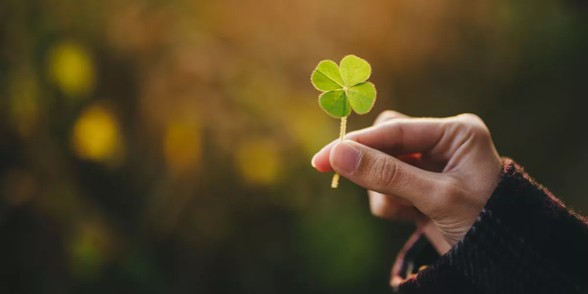 A hand holding a clover