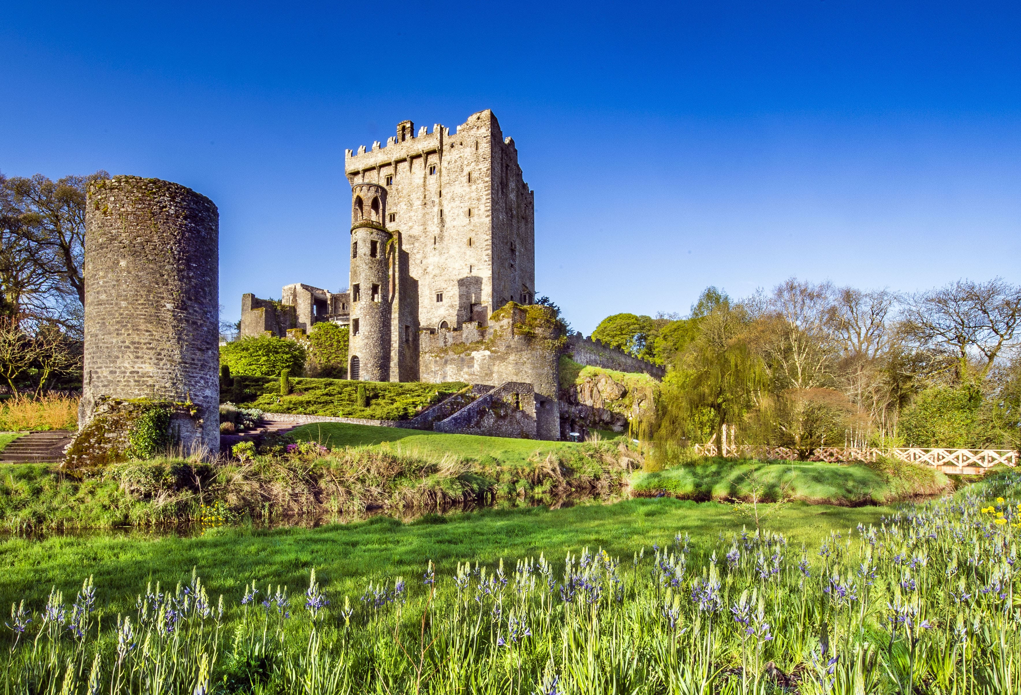Blarney Castle surrounded by lush green fields
