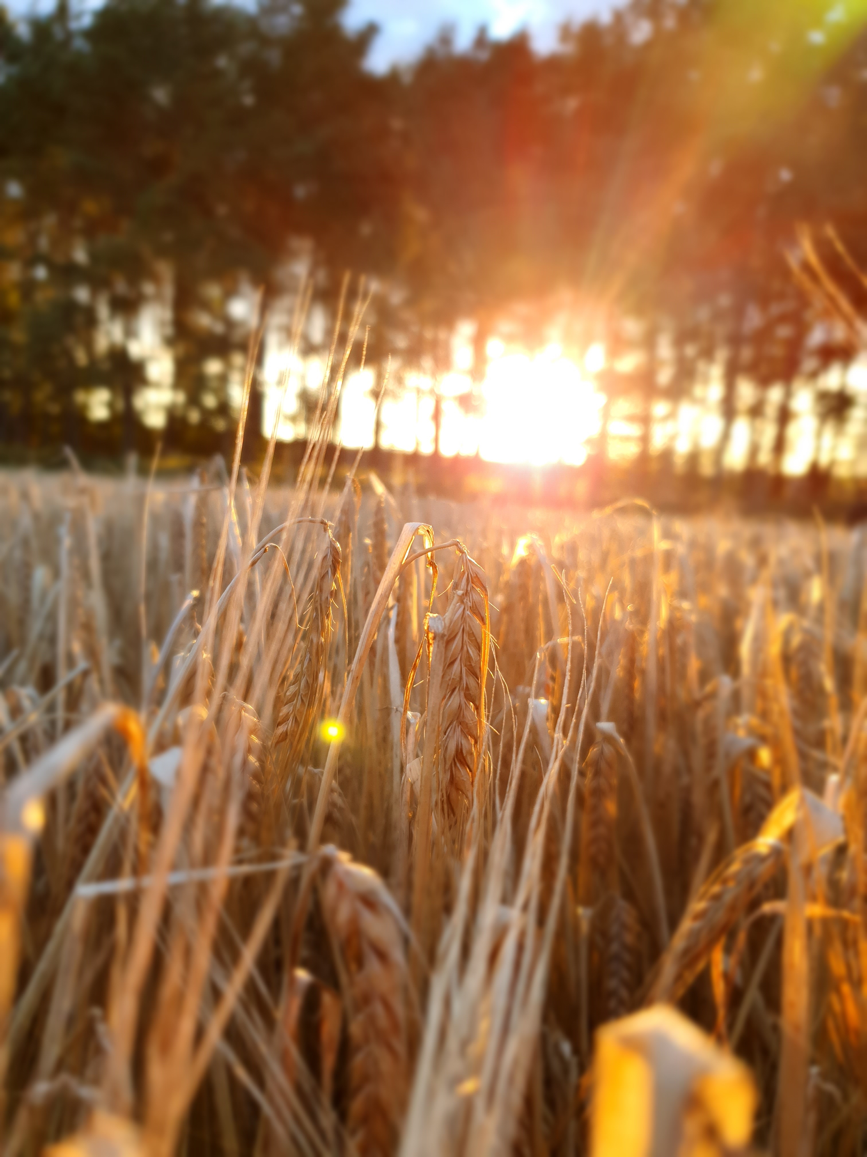 Sustainable, bold flavors crafted from locally-sourced ingredients