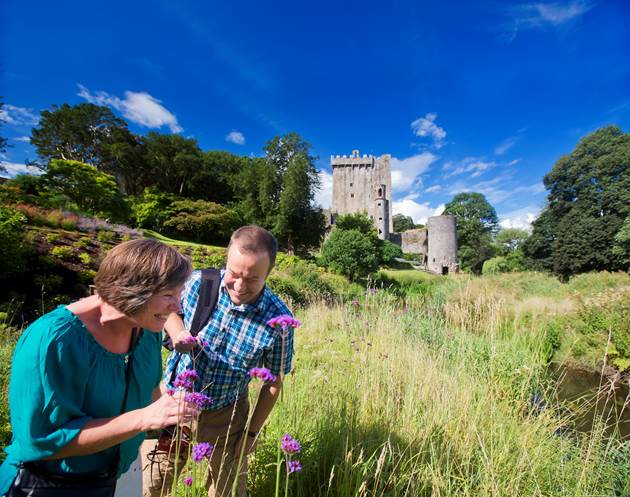 Blarney Castle Co Master Edit