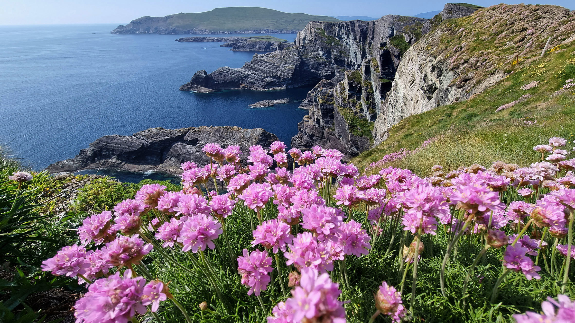 Kerry Cliffs Ring Of Kerry Ireland 