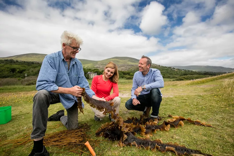 Three people at seaweed discovery workshop in a field