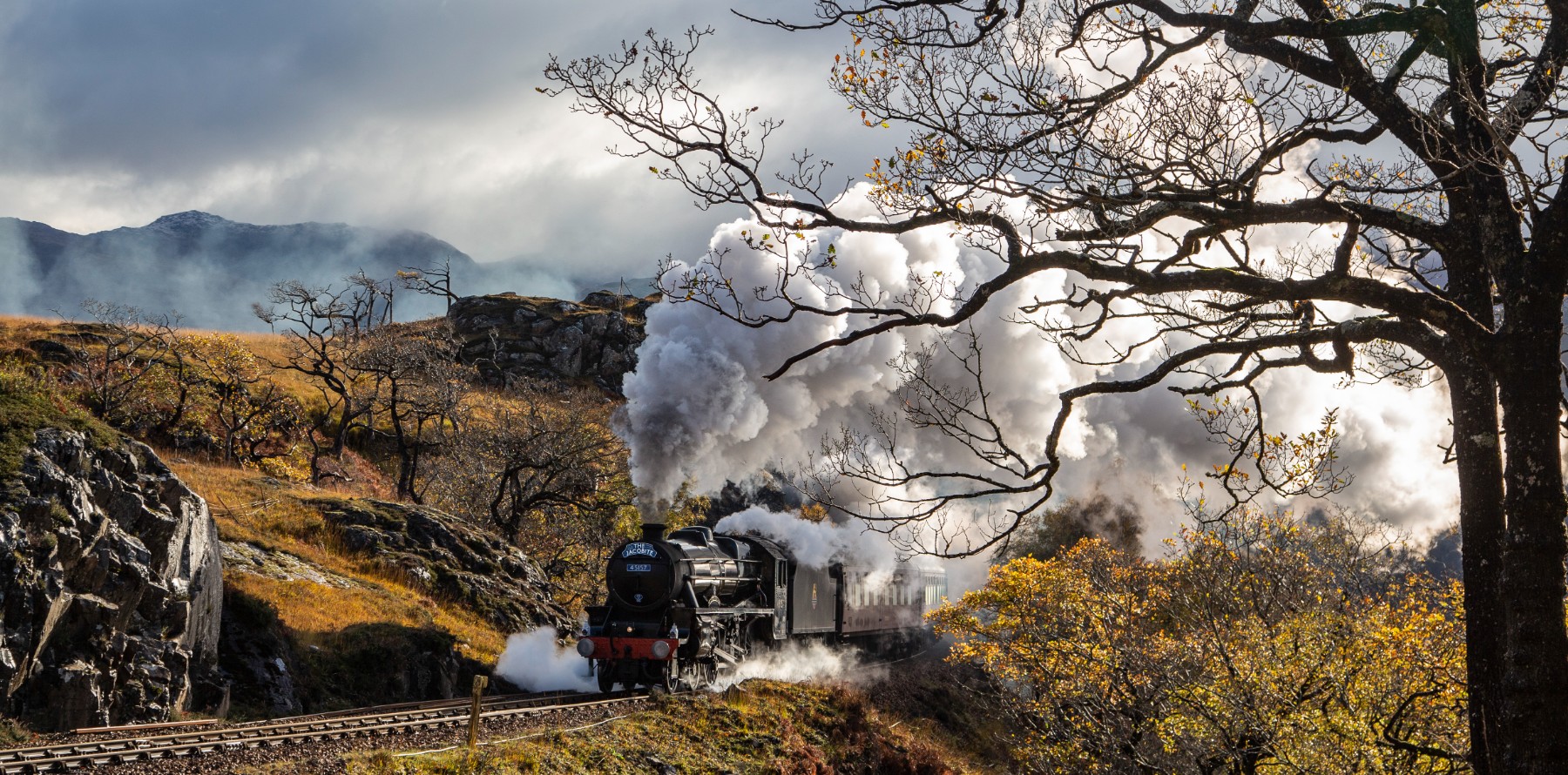 A steam train traveling down train tracks next to a forest