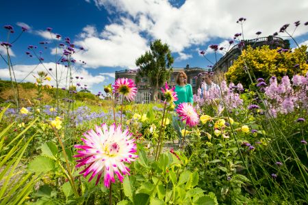 A woman standing in a field of flowers