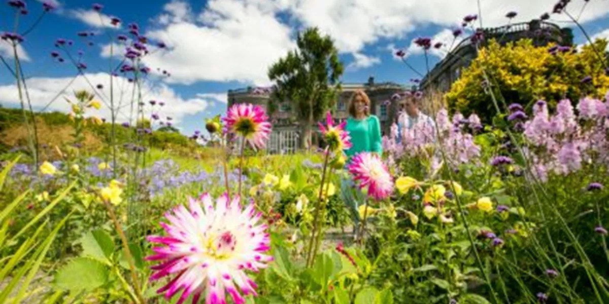 Spring Ireland Discover spring travel to Ireland & Scotland | Brendan Vacations US