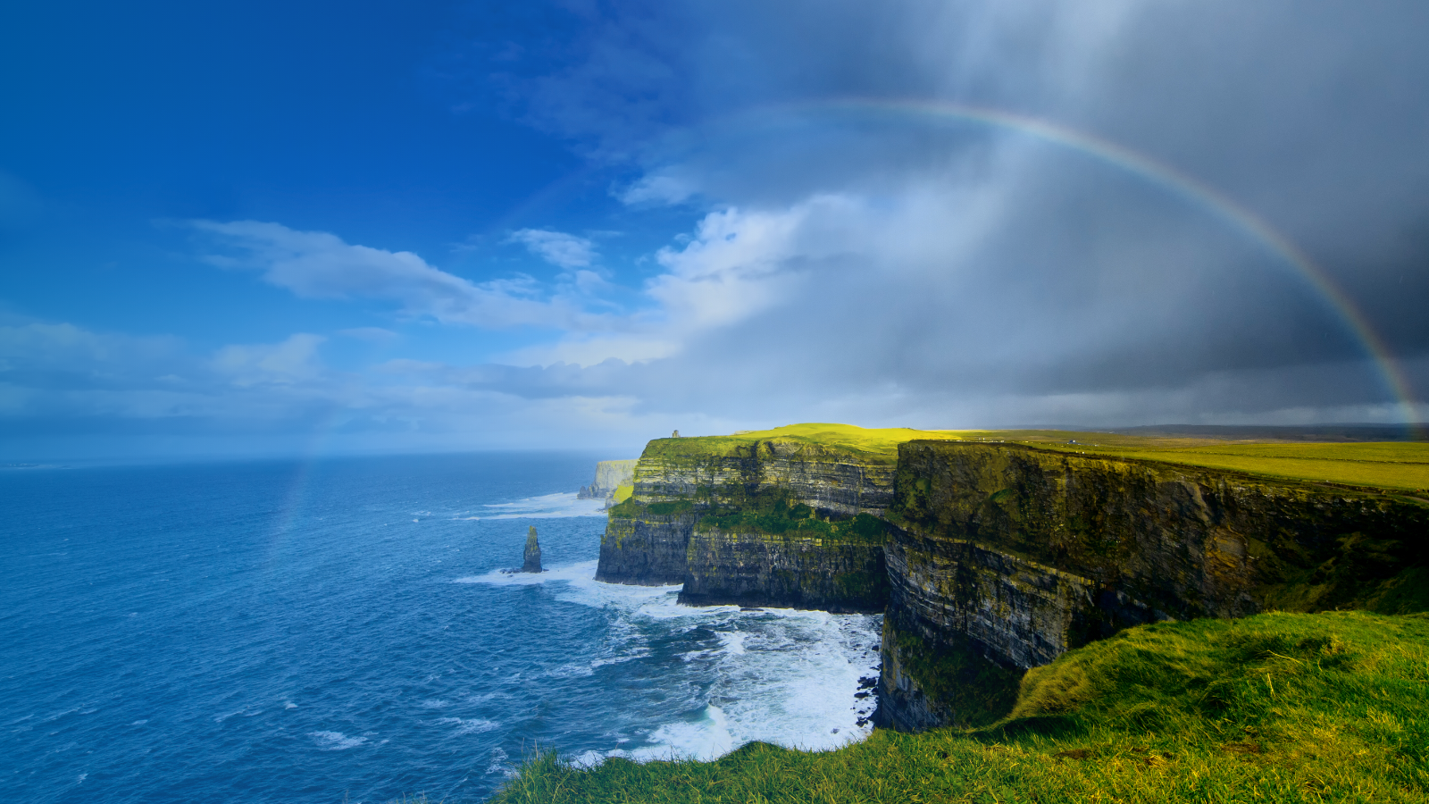 Cliffs of Moher in Shannon Ireland