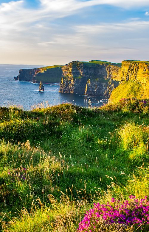 Cliffs of Moher in Shannon, Ireland